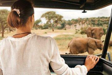 Pilanesberg Full Day Safari Tour with Lunch from Johannesburg