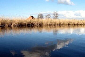 Amsterdam Bike Tour Countryside | Half-Day, Group | Local Guide