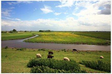 Amsterdam Country Bike Tour | Half Day, Group