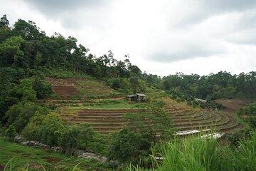 Chiang Mai Private Full Day Trekking