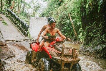 Full Day Bali Quad Bike Monkey Forest Rice Terrace and Swing