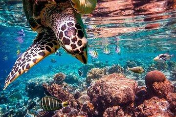 Sharm El Naga Full-Day Snorkeling with Lunch from Hurghada
