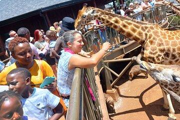 Classic Nairobi City Tour Safari