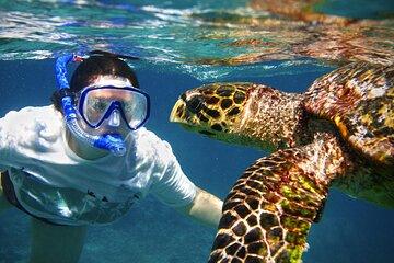 Hikkaduwa Unforgettable Snorkeling Experience