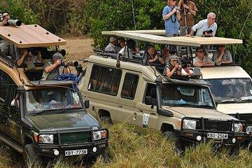 Nairobi Safari Experience 4-Day Shared 4WD Tour