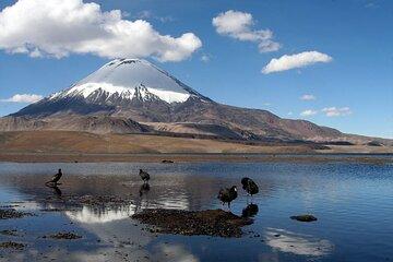 Shared Experience To Chungara Lake in Chile