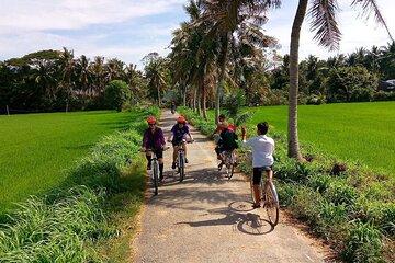 Private NonTouristy Mekong Delta with Biking