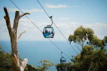 Mornington Peninsula Departure Wine and Hot Springs Tour