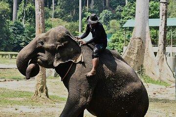 Kuala Lumpur Bus Tour Experience 3 Days