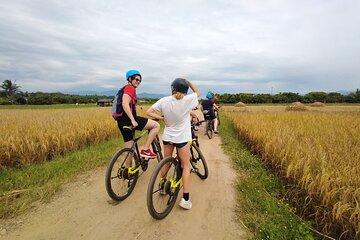 Chiang Mai Rice Fields Bike Tour Along Mae Ping River
