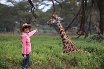 5Day Masai Mara, Lake Nakuru and Naivasha Daily Budget Safari