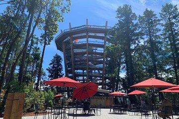 Victoria Day trip with Butchart Garden and Malahat Skywalk