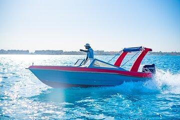 Private Dolphin Swim & Speedboat Tour & Water Sports - Hurghada