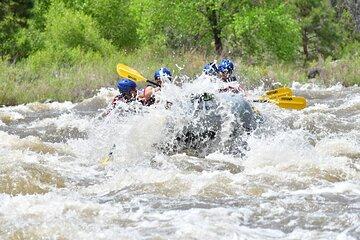 Bighorn Sheep Canyon Full Day Beginner Whitewater Rafting Tour