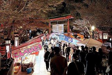 Gion Area Night Walking Tour