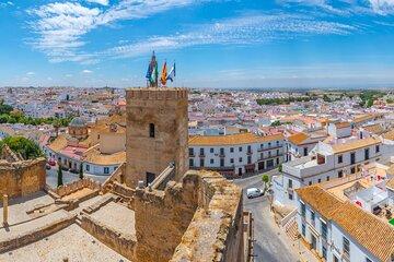 Private Half Day Carmona Tour from Seville