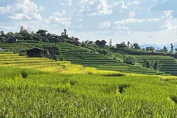 Private Tour to Chiang Mai Rice Terraces and National Park