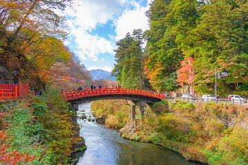 Tokyo Shared Tour with English Guide