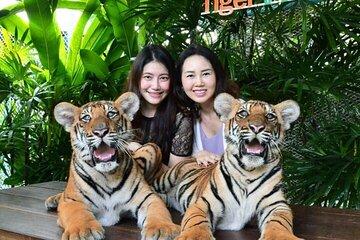 Tiger Park Pattaya Entry Ticket with Private Hotel Transfer
