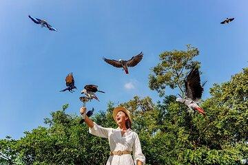 Bird Paradise Singapore Ticket - Explore Asia’s Largest Bird Park
