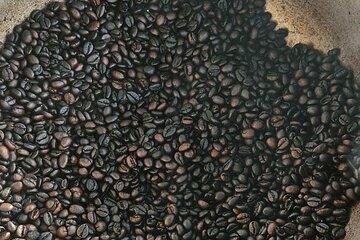 Chocaci Farm Work Shop Cacao, Coffee and Cigar