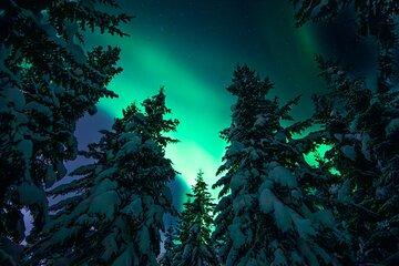 Northern Lights Hunt with Photographer in Italian in Tromsø
