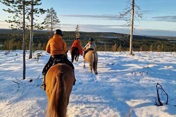 Rovaniemi Horseback Ride Guided Tour