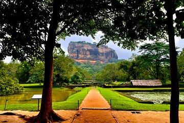 Dambulla Golden Temple Private Car Tour from Bentota