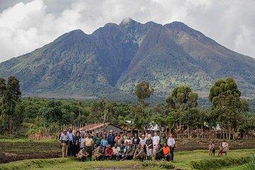 1 Day Mount Gahinga Hiking Adventure