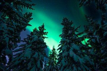 Tromsø Hunting with Photographer in French