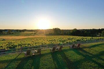 West Michigan Wine and Brewery Join in Day Tour