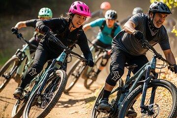 Mountain E Bike and Wine Adventure