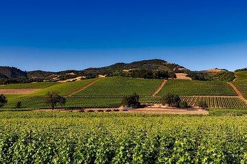 San Francisco Sonoma Napa Valley Chauffeur Transfer