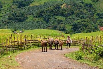 7 Days in Northern Vietnam Discover Ninh Binh, Halong Bay, Sapa