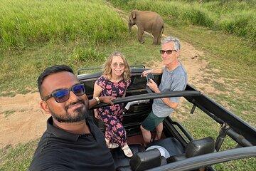 12 days Sri Lanka Round Tour private vehicle BB accommodations