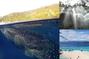 Sumilon Island Experience with Oslob Waterfalls and Whale Sharks