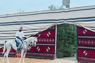 Red Sands The Arabian Experience Camp