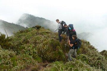 1 Day Mount Sabyinyo Hiking Adventure