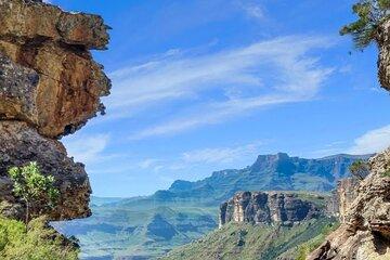From Johannesburg to Cape Town 12 Day Adventure Safari and More