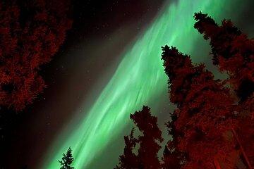 Gateway to the Light: Whitehorse Aurora Viewing Adventure