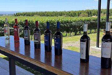 Various Food and Wine Options of Mendoza