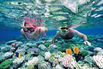 Nha Trang Beach Tour by Bus and Water
