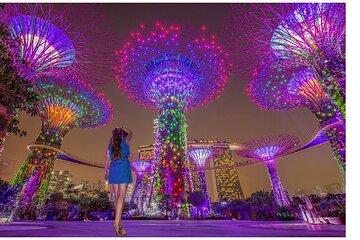 Singapore: River Cruise, 2 Spectra & Garden Rhapsody Light Shows