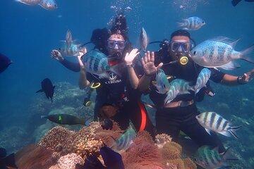 Nha Trang Coral Reefs Scuba Diving Experience with Lunch