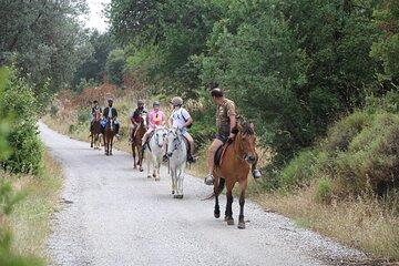 Bodrum Horse Safari Adventure
