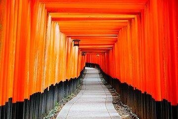Kyoto Must See Highlights Private Guided Tour