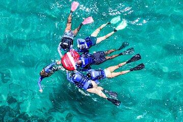 Guided snorkel diving