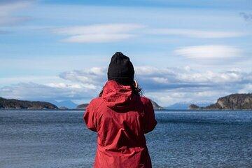 Tierra del Fuego National Park – Small Groups. Optional Train