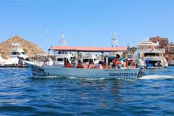 Tour of the Cabo San Lucas Collective Arch