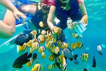 Nusa Penida Snorkeling Paradise & Island Highlights all included
